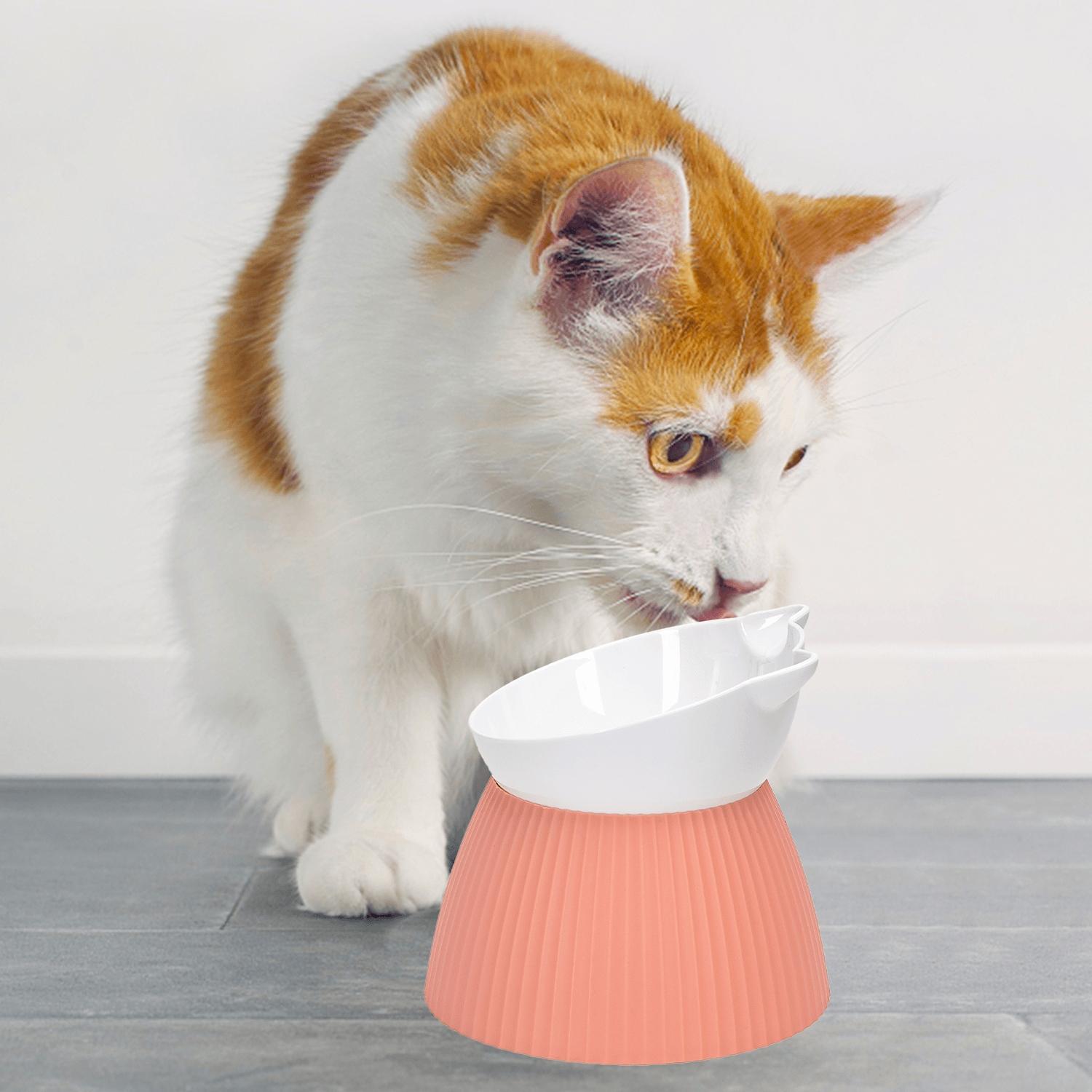 cat elevated bowl