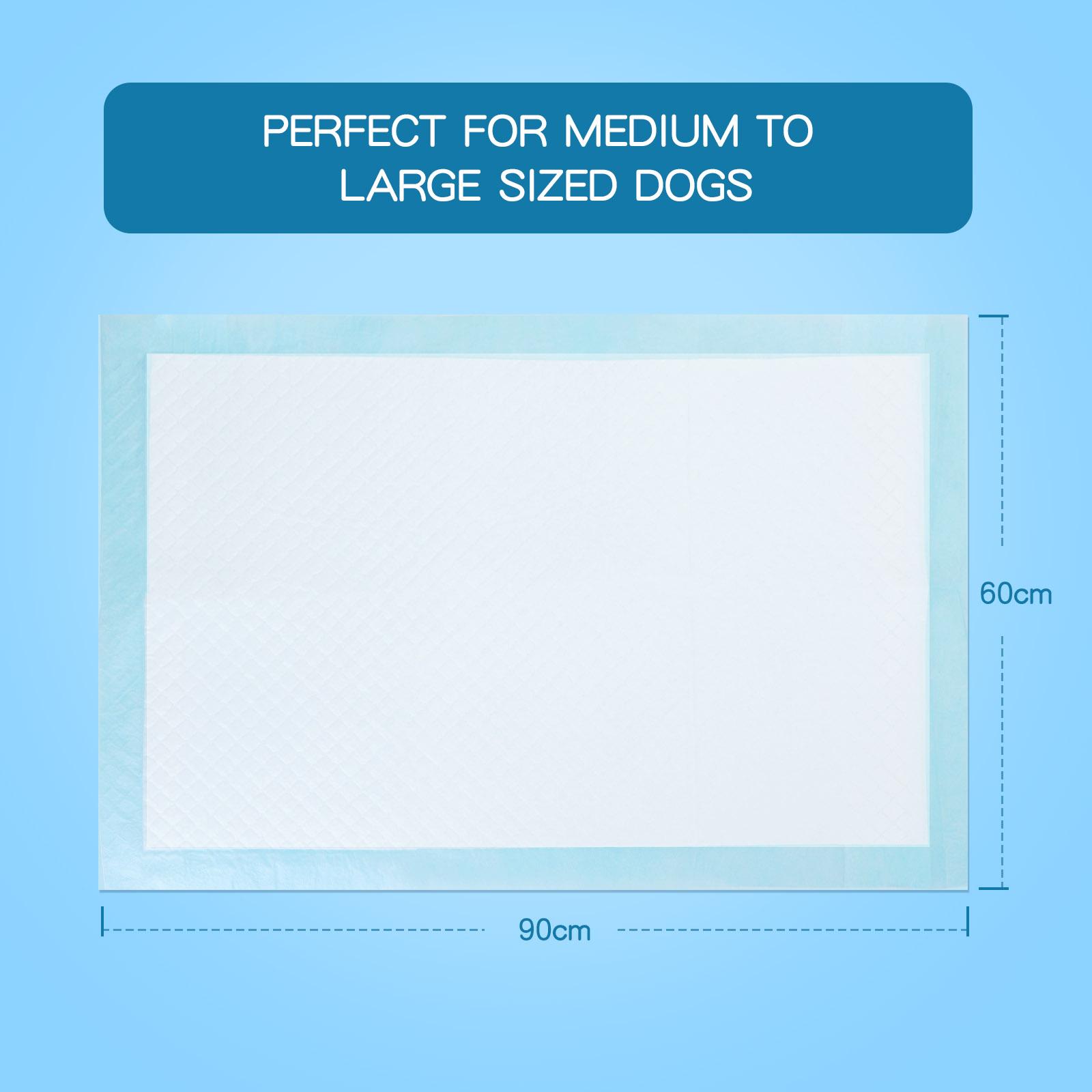 PET PAD WITH ADHESIVE TAPE STICKERS L60*W60CM WHITE&BLUE 10PCS/BAG（OFFLINE）