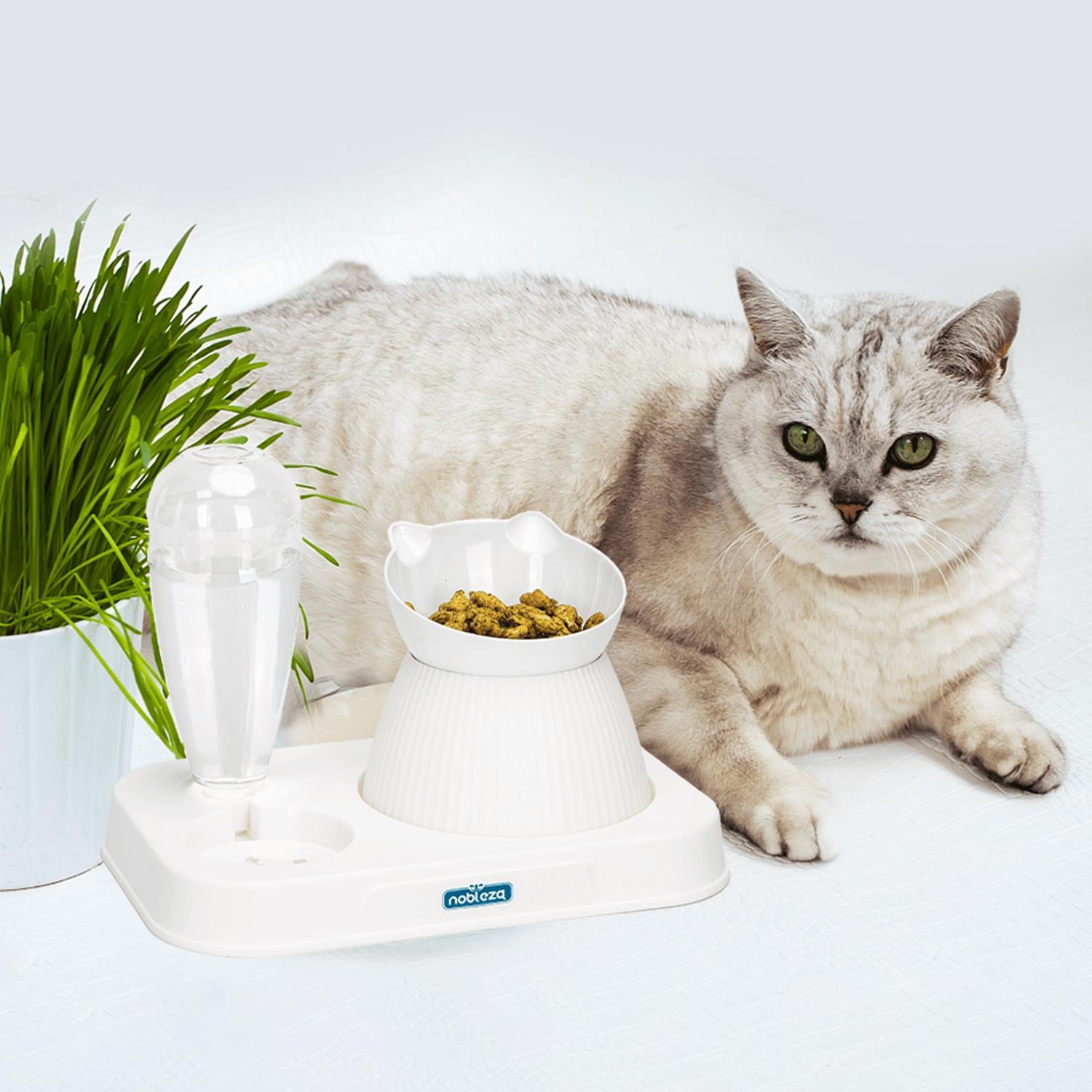 2-in-1 cat food and water bowl set