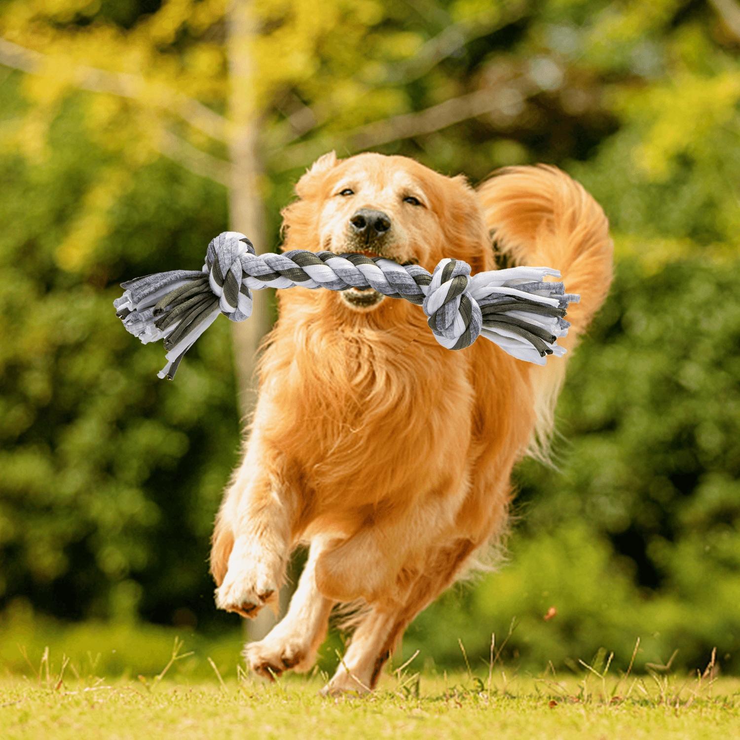 Cotton rope toy for dog