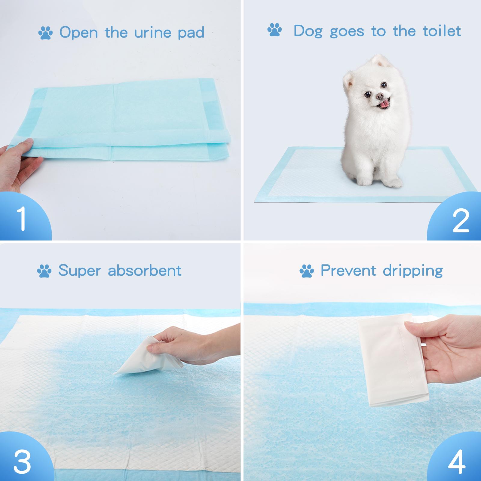 PET PAD L60*W90CM WHITE&BLUE 30PCS/BAG（OFFLINE）