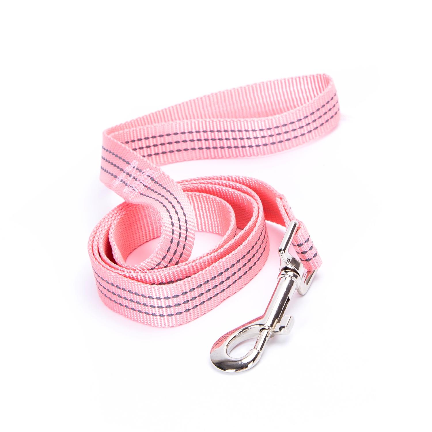 Imitation nylon reflective dog leash