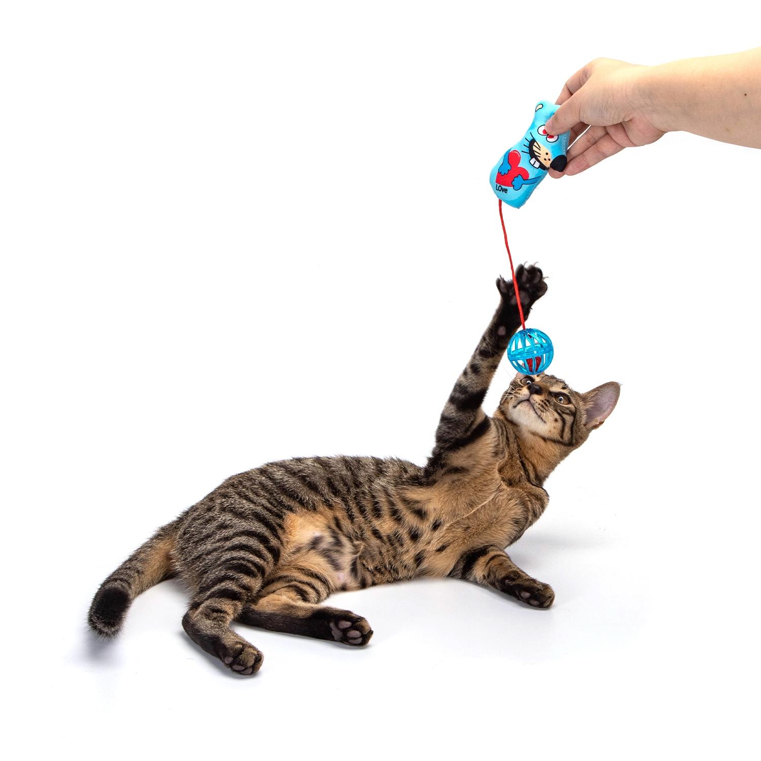 Animal-Shaped Cat Toy