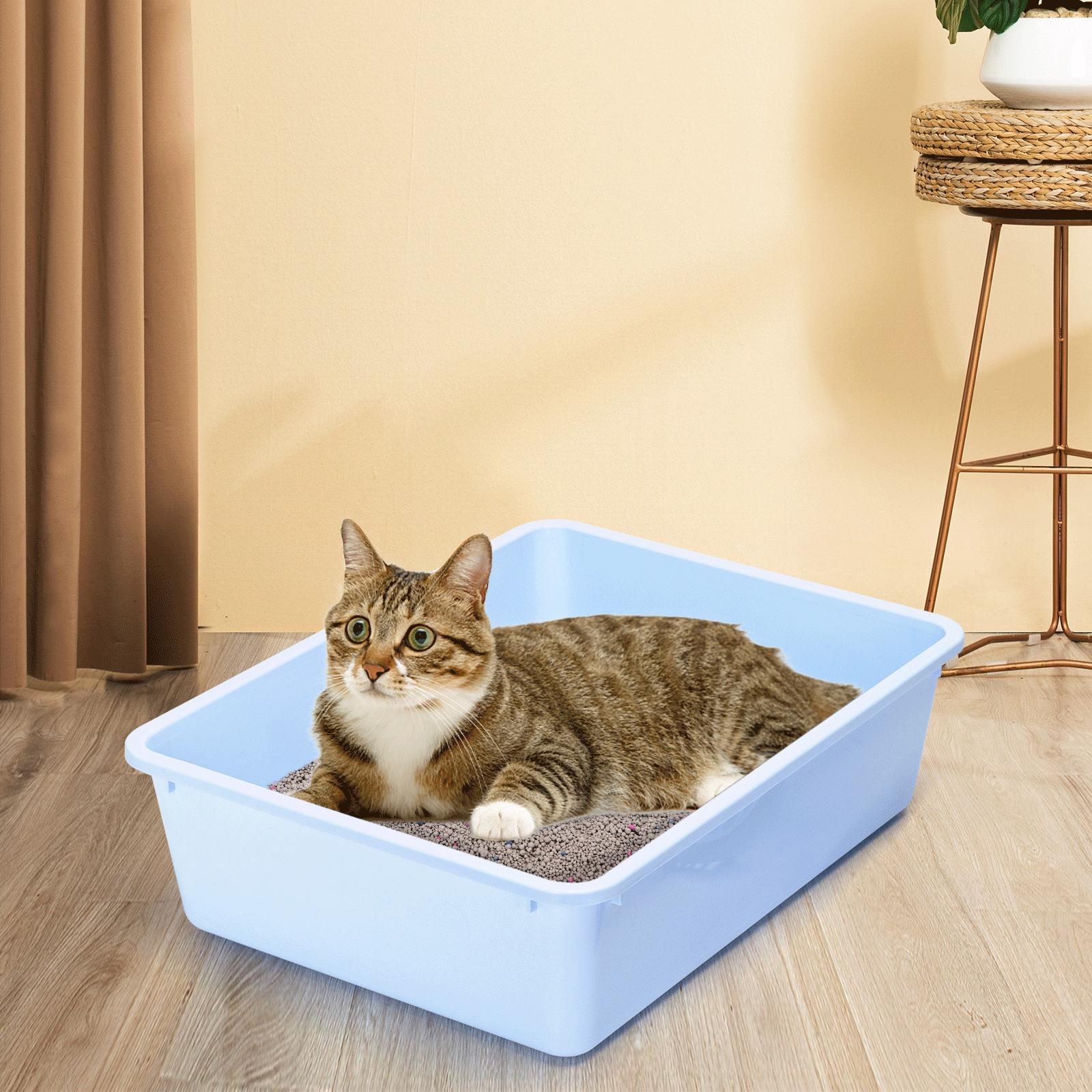 Cat litter pan with litter scoop