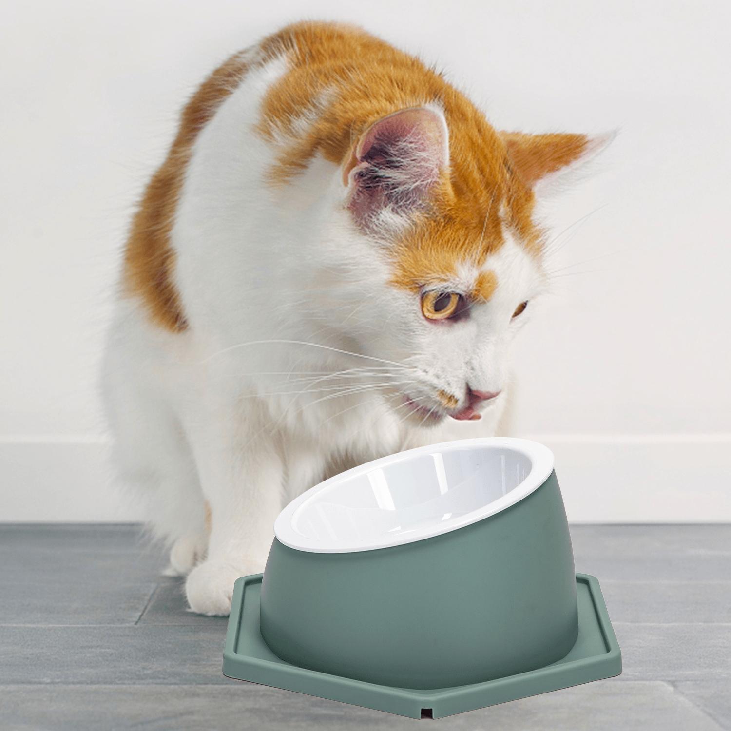 cat elevated bowl