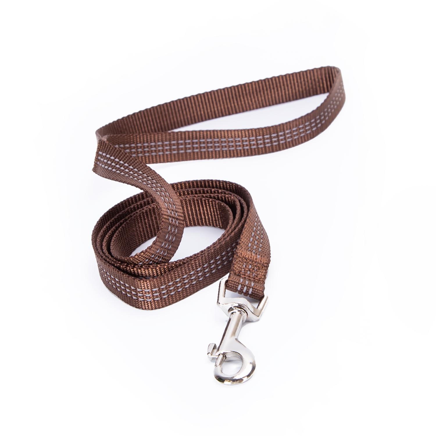 Imitation nylon reflective dog leash