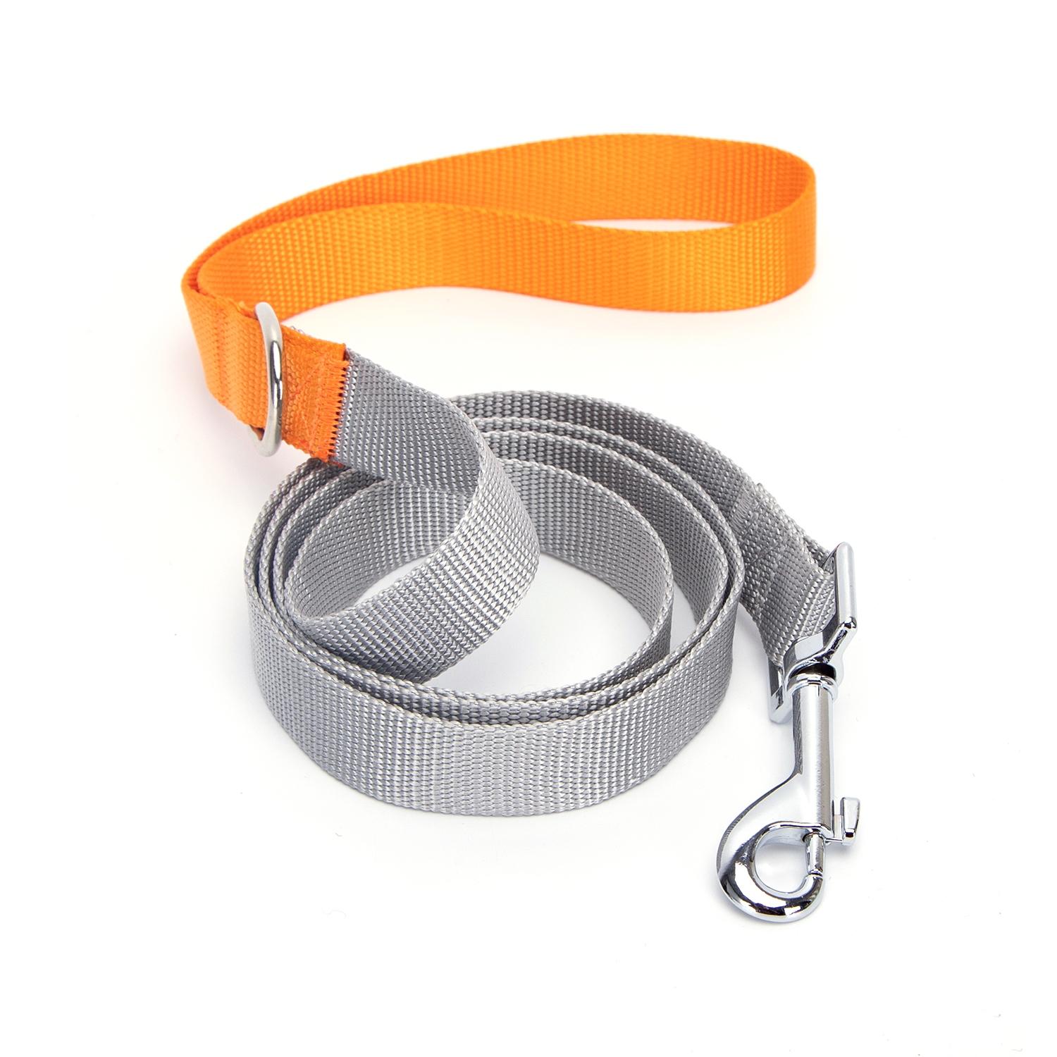 Webbing dog leash