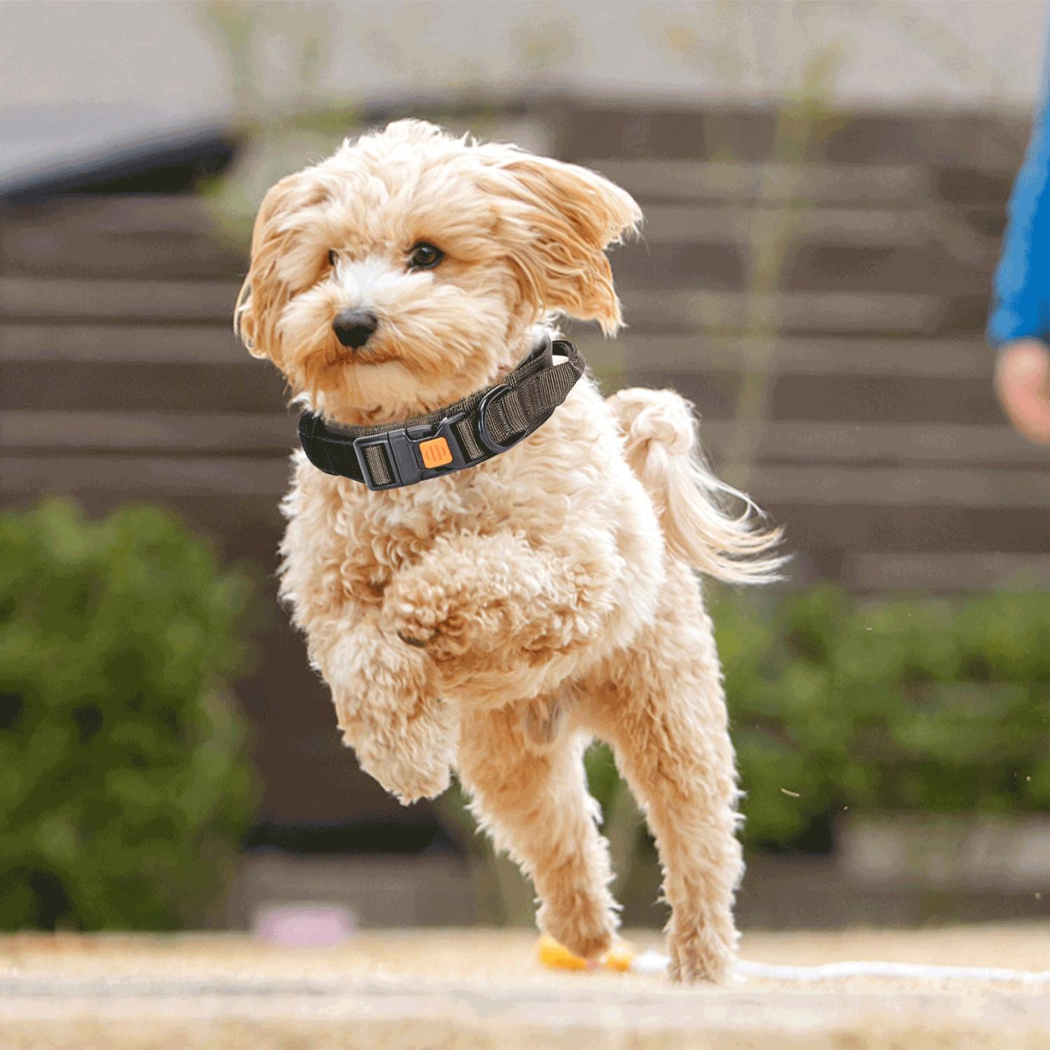 Anti-explosion shock collar