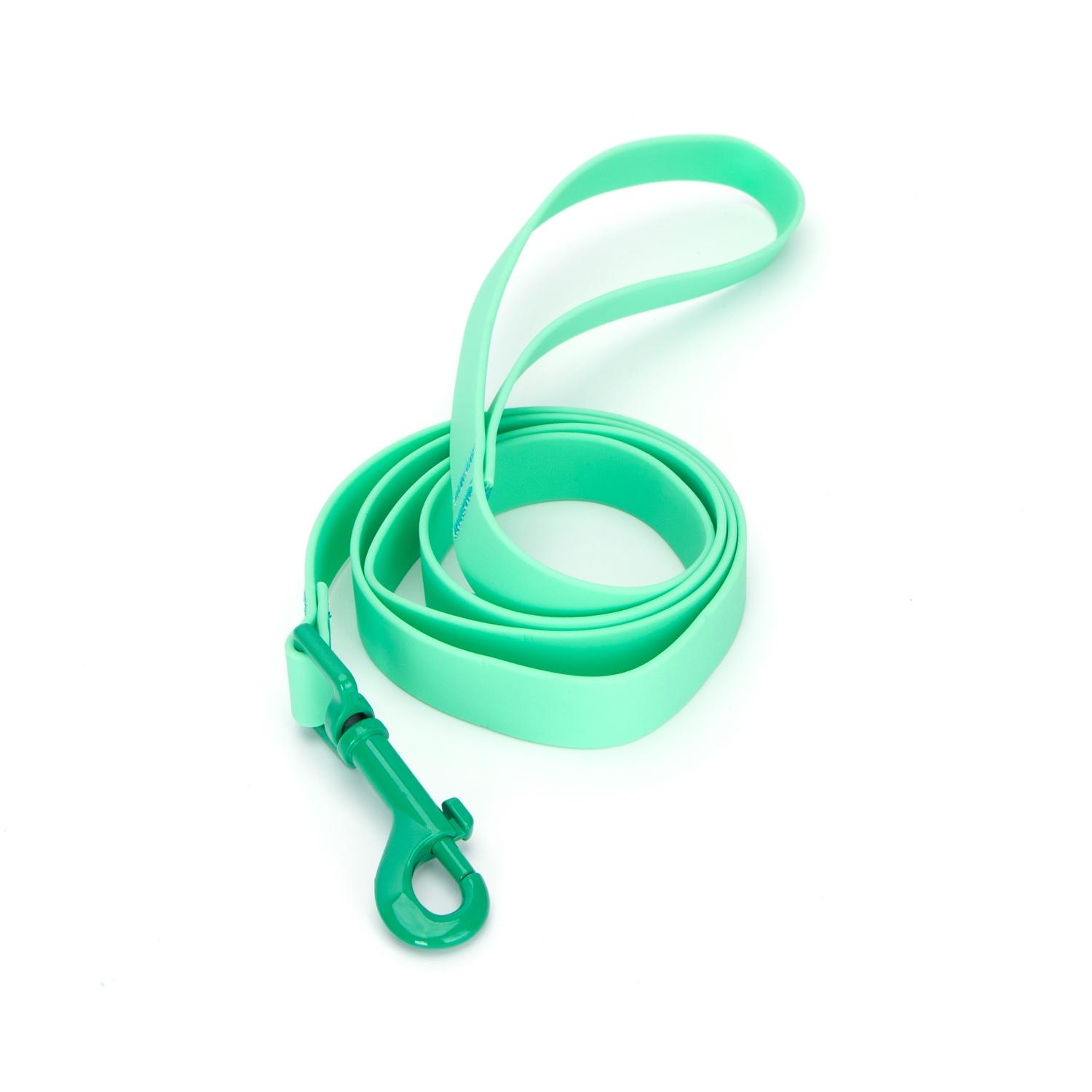 Colored  pvc leash