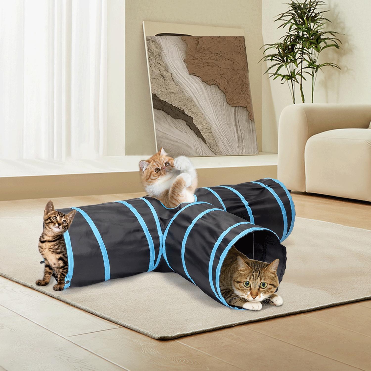 Cat tunnel