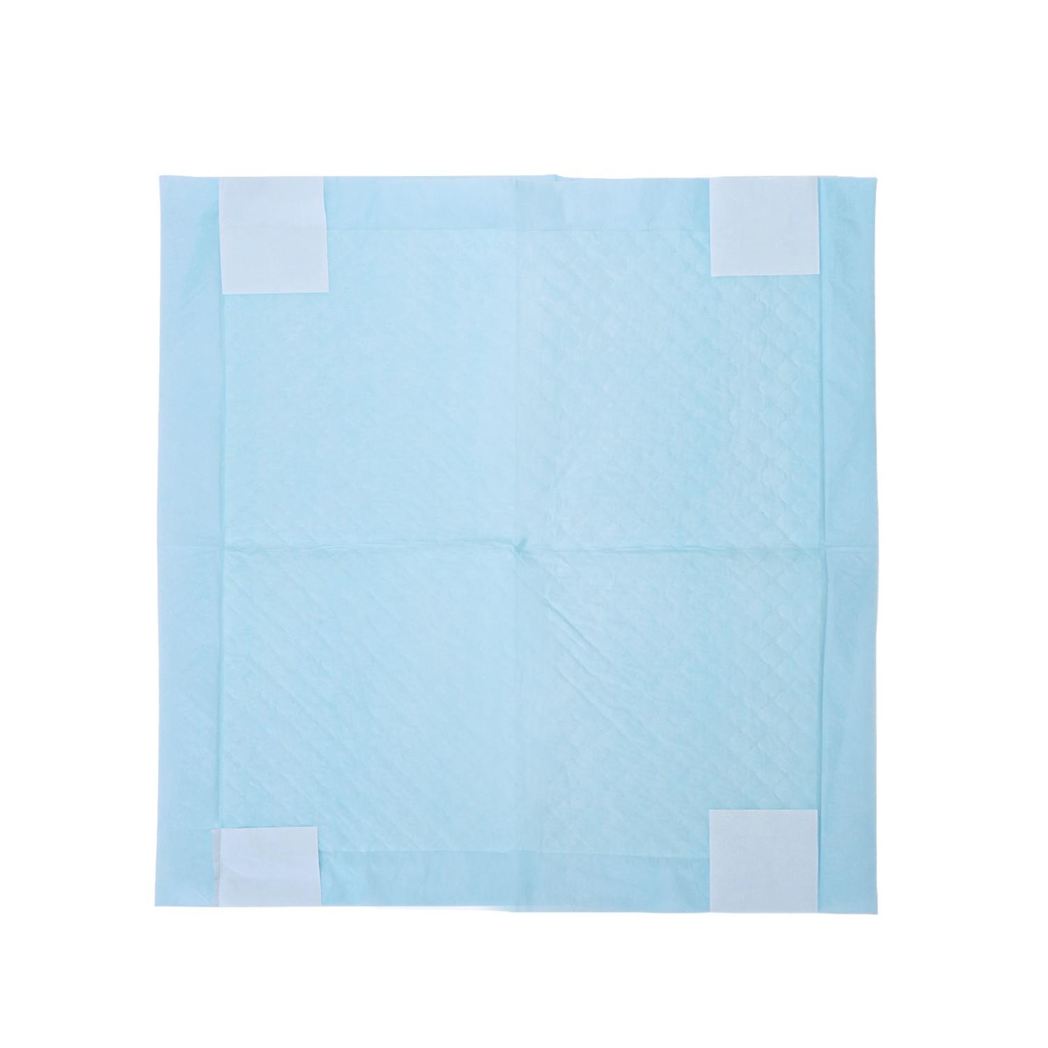 PET PAD WITH ADHESIVE TAPE STICKERS L60*W60CM WHITE&BLUE 10PCS/BAG（OFFLINE）