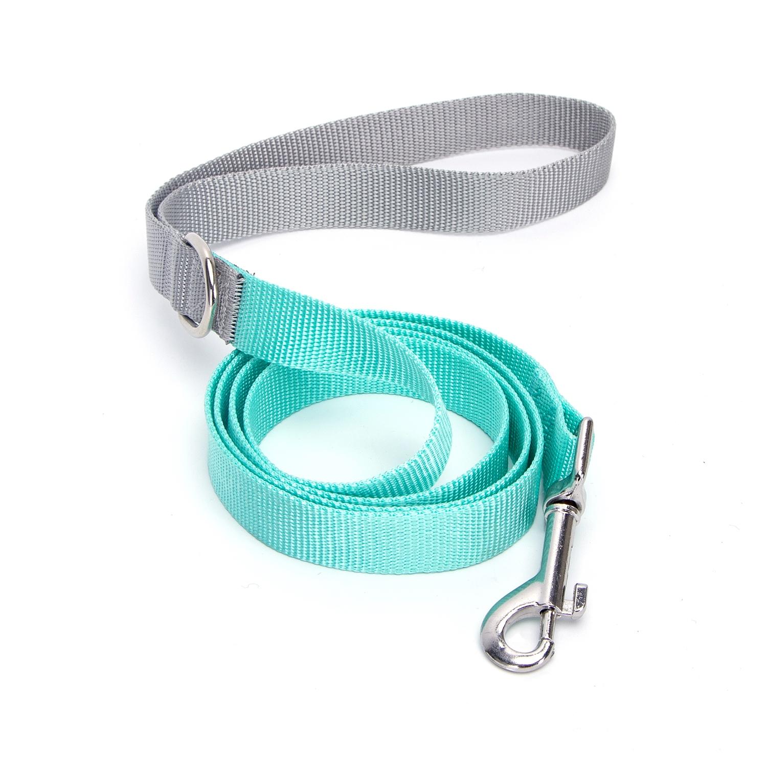 Webbing dog leash