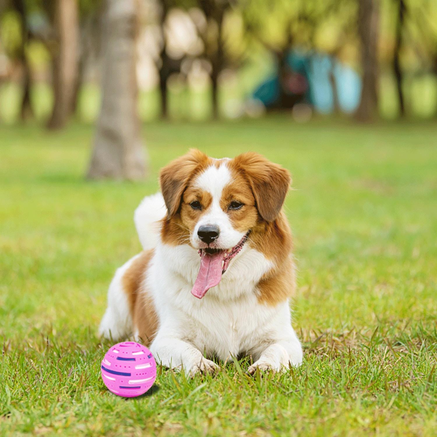 Vinyl Ball-Shaped Dog Squeaky Toy