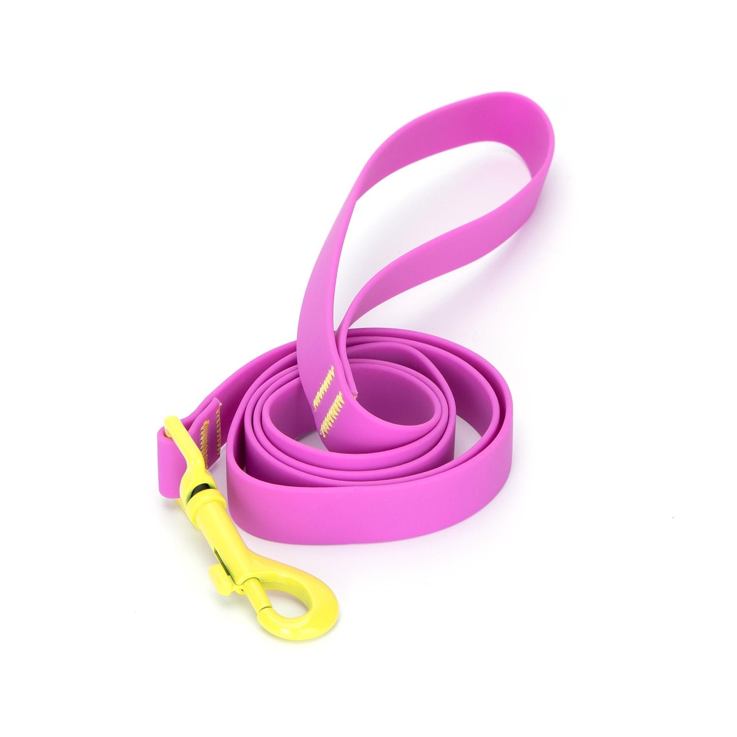 Colored  pvc leash