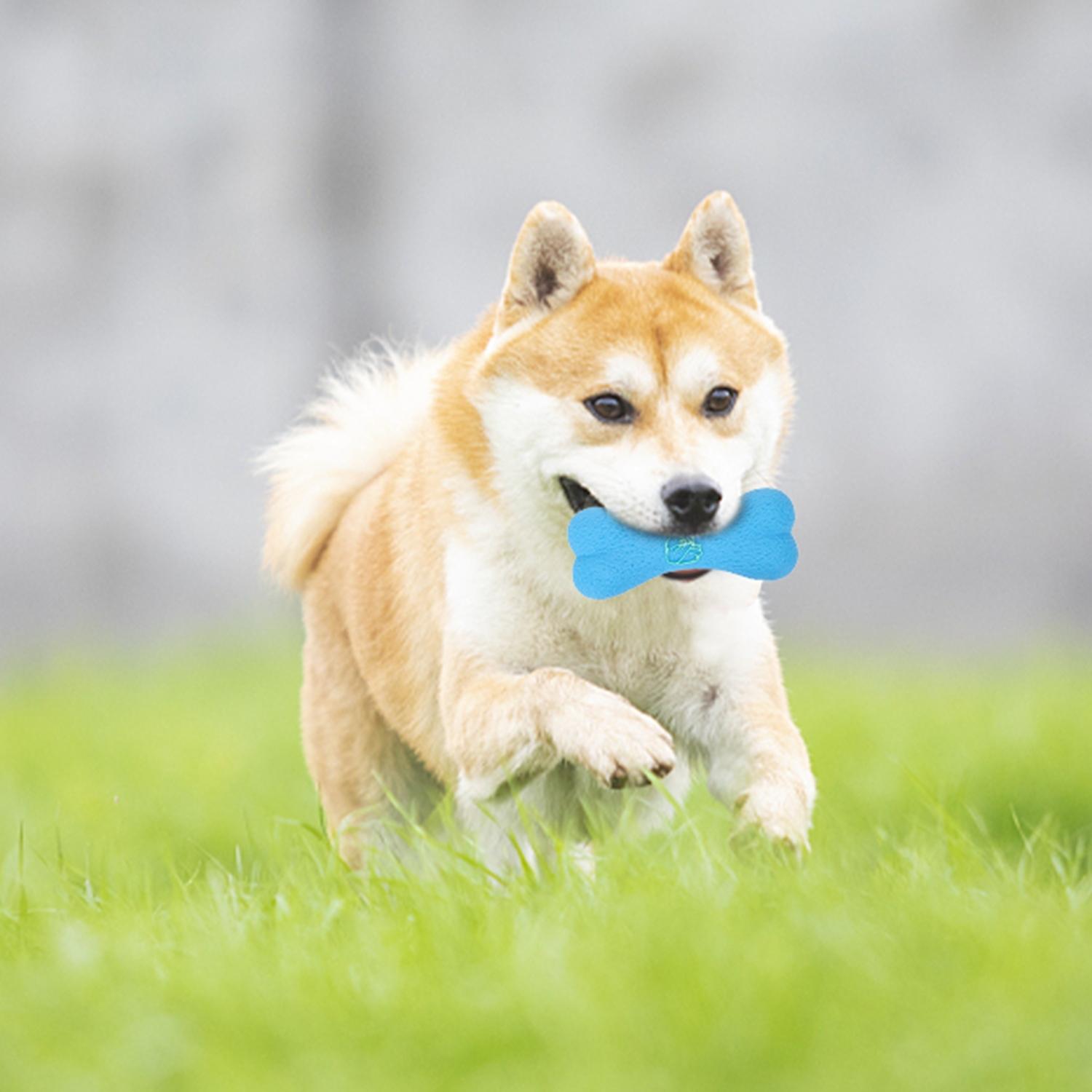 Bone-Shaped Vinyl Dog Squeaky Toy