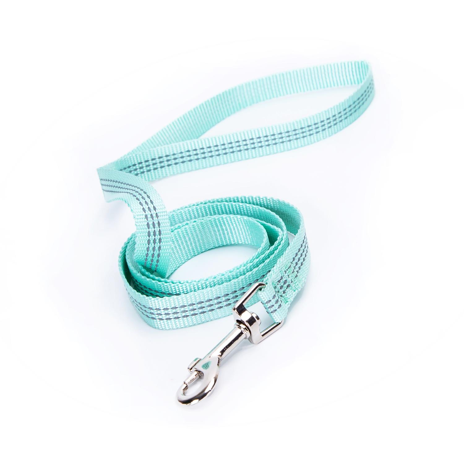 Imitation nylon reflective dog leash