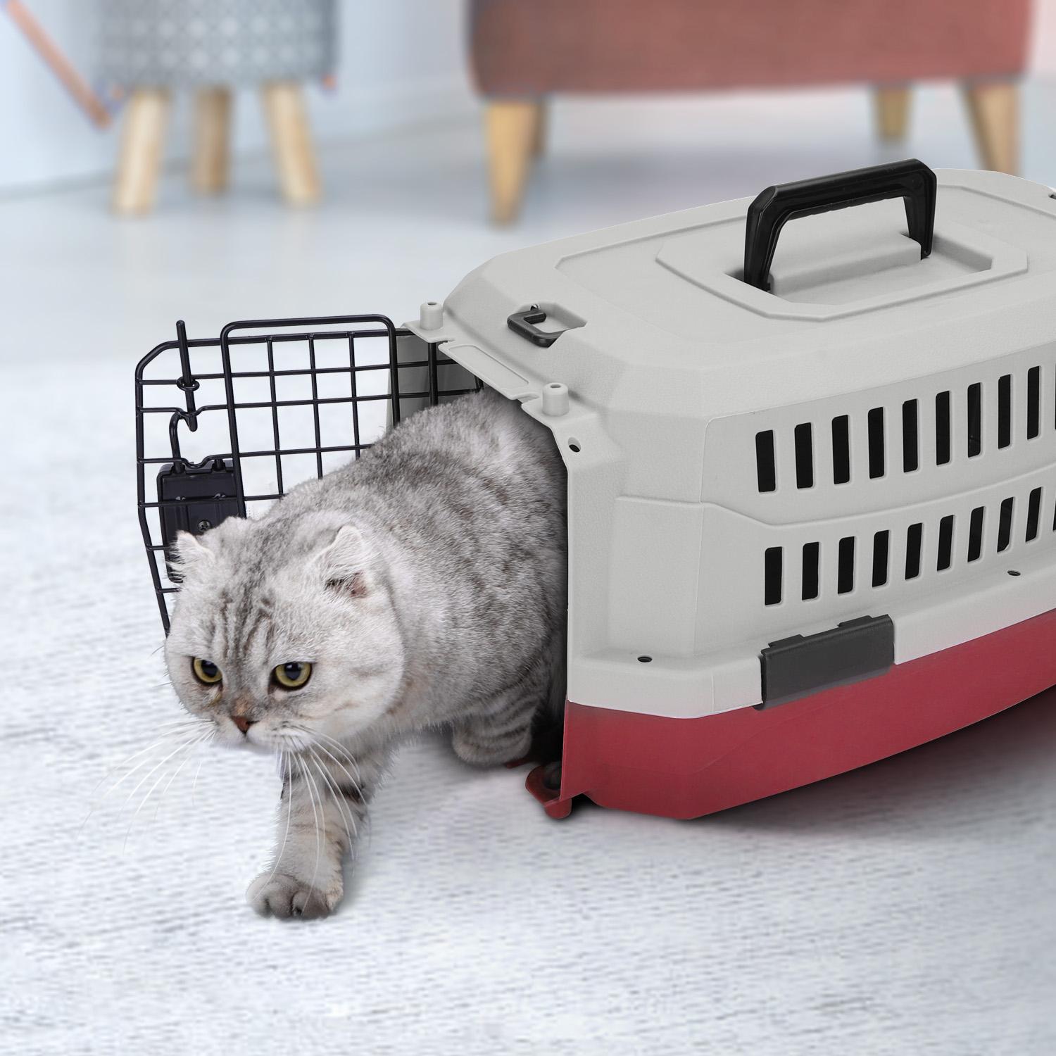 Airline pet carrier