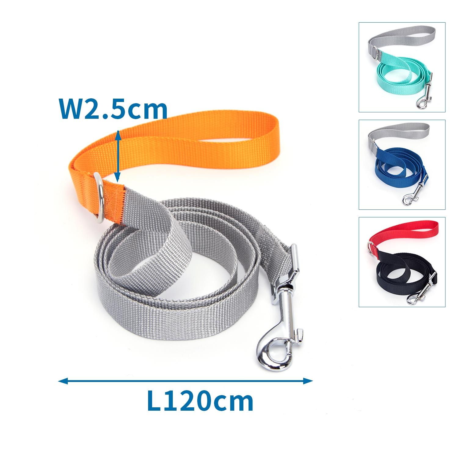 Webbing dog leash