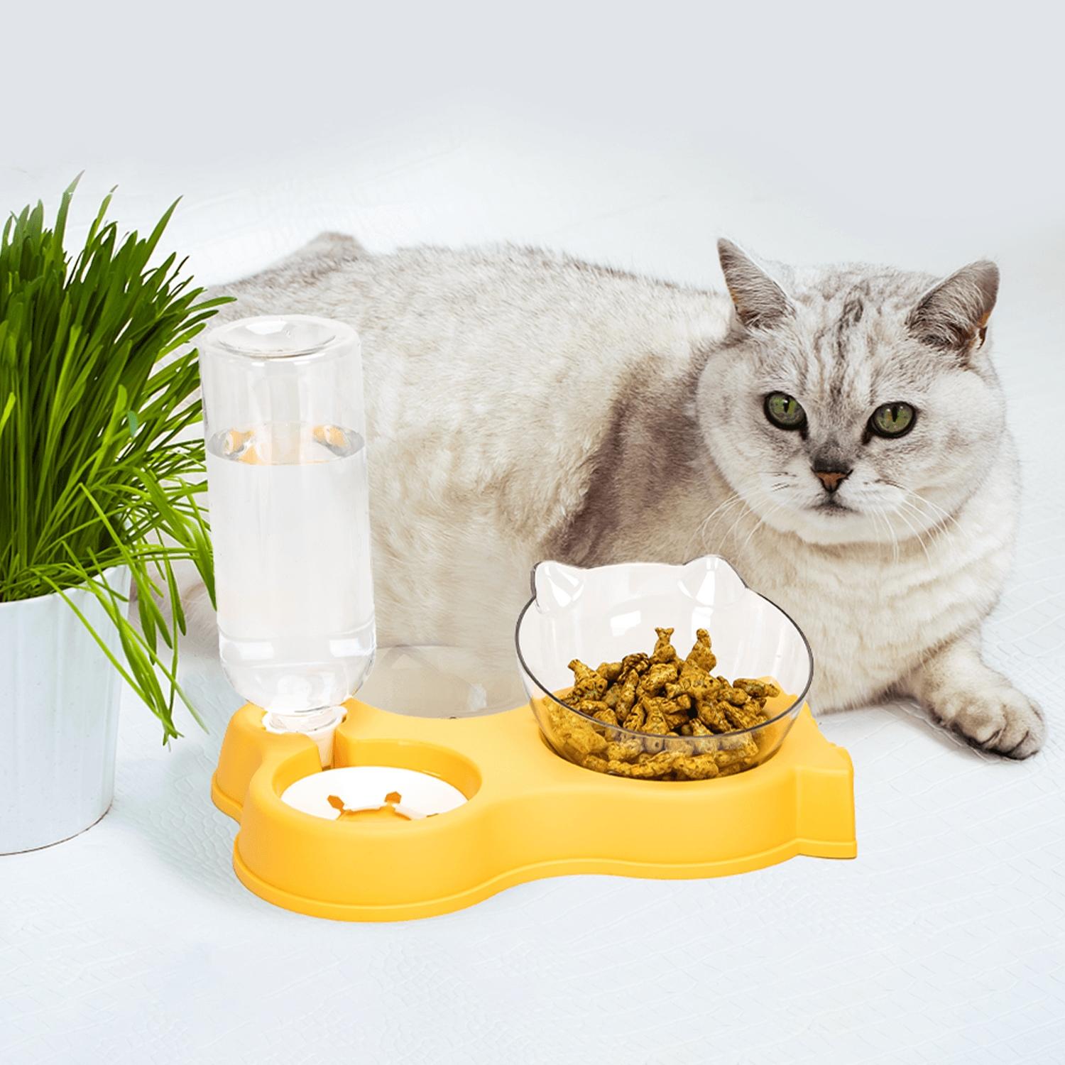 2-in-1 cat food and water bowl set