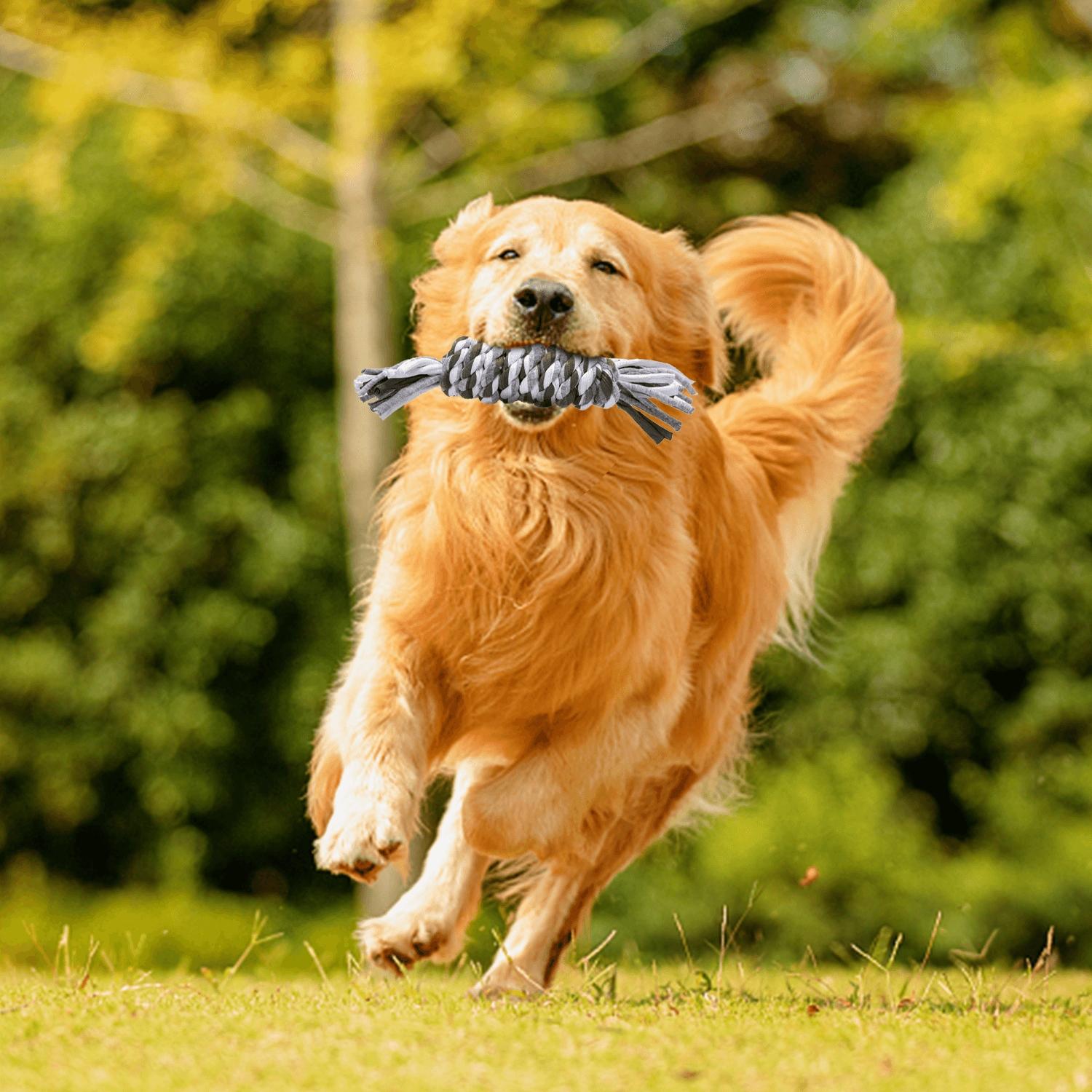 Cotton rope toy for dog