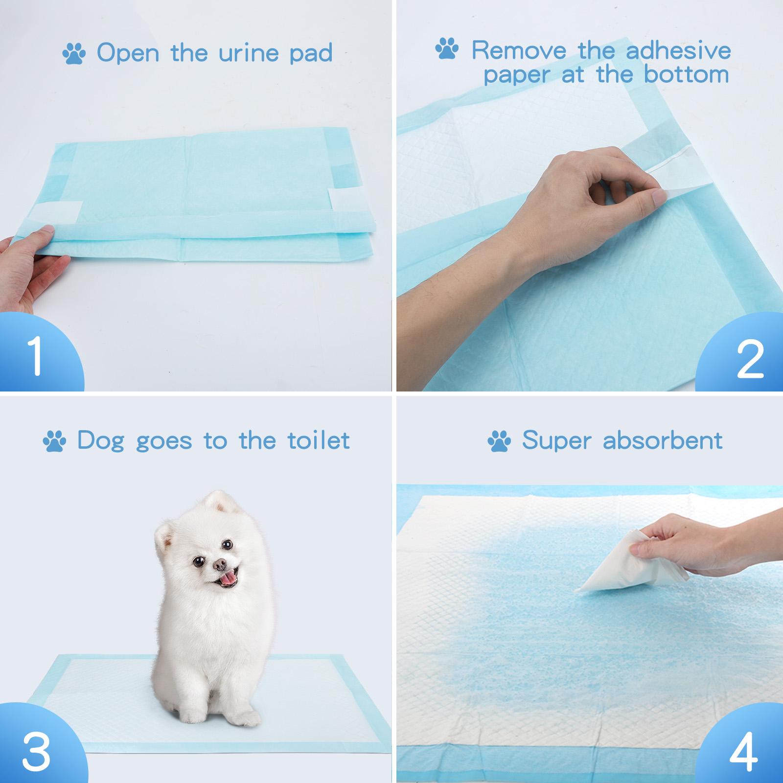 PET PAD WITH ADHESIVE TAPE STICKERS L60*W60CM WHITE&BLUE 10PCS/BAG（OFFLINE）