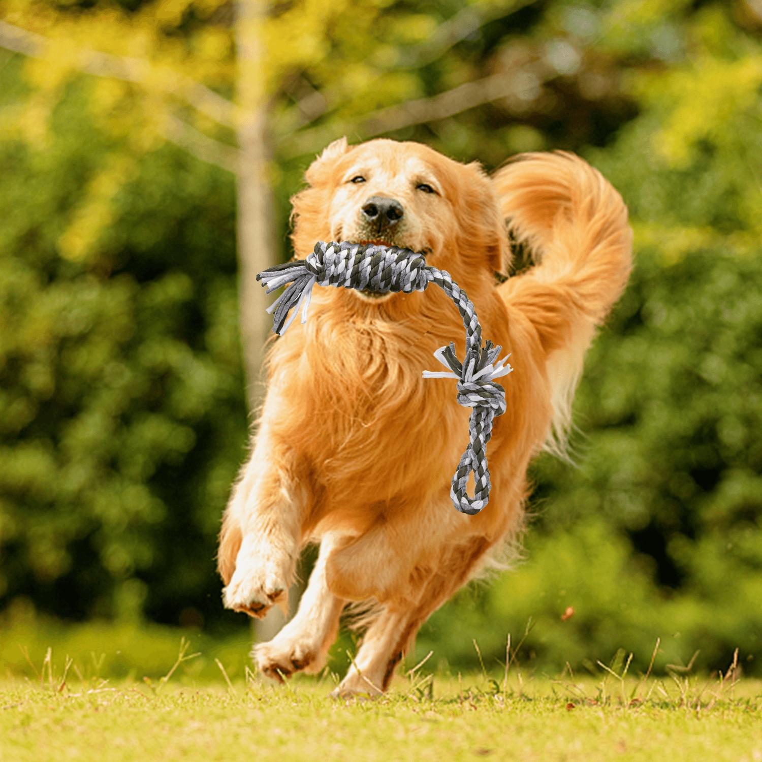 Cotton rope toy for dog