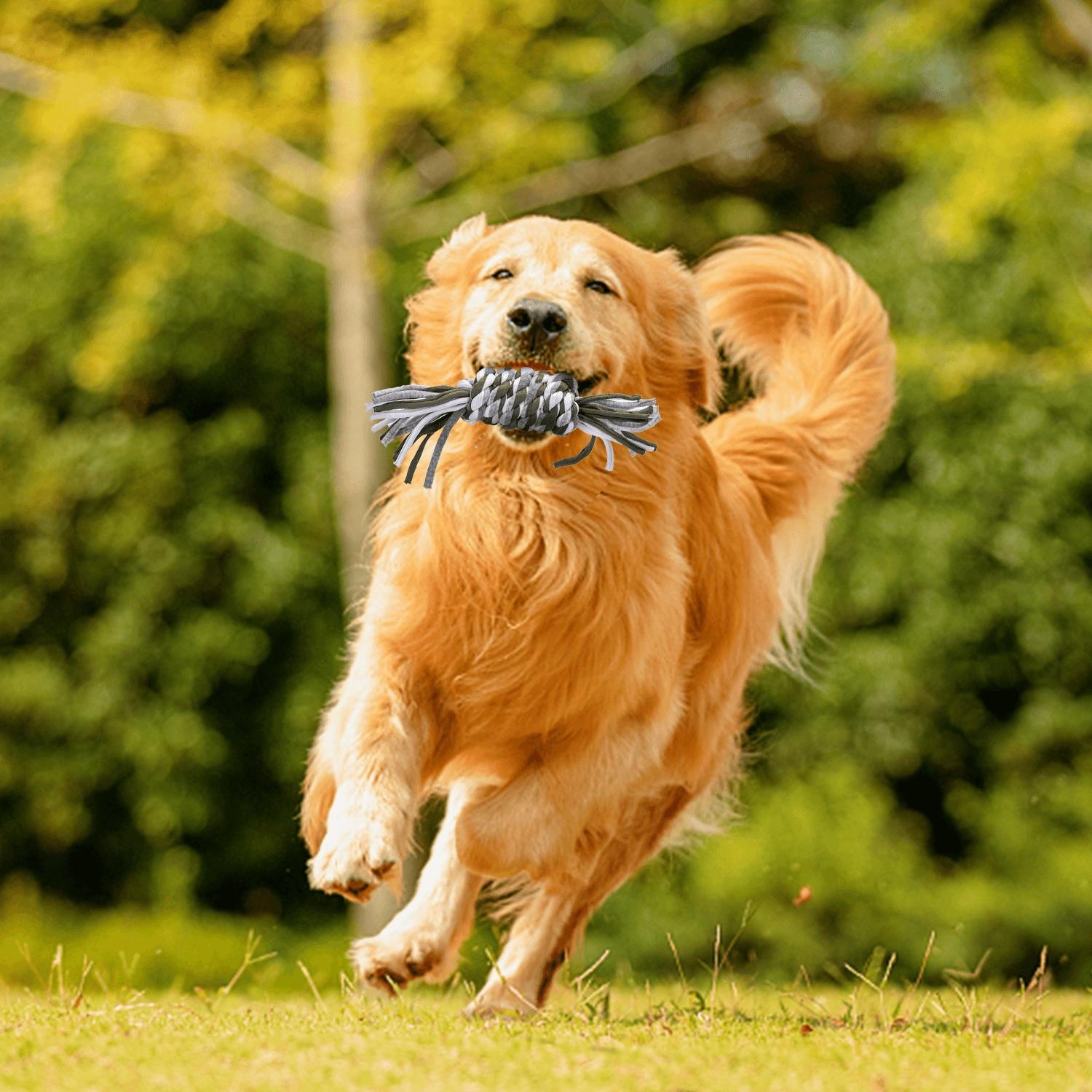 Cotton rope toy for dog