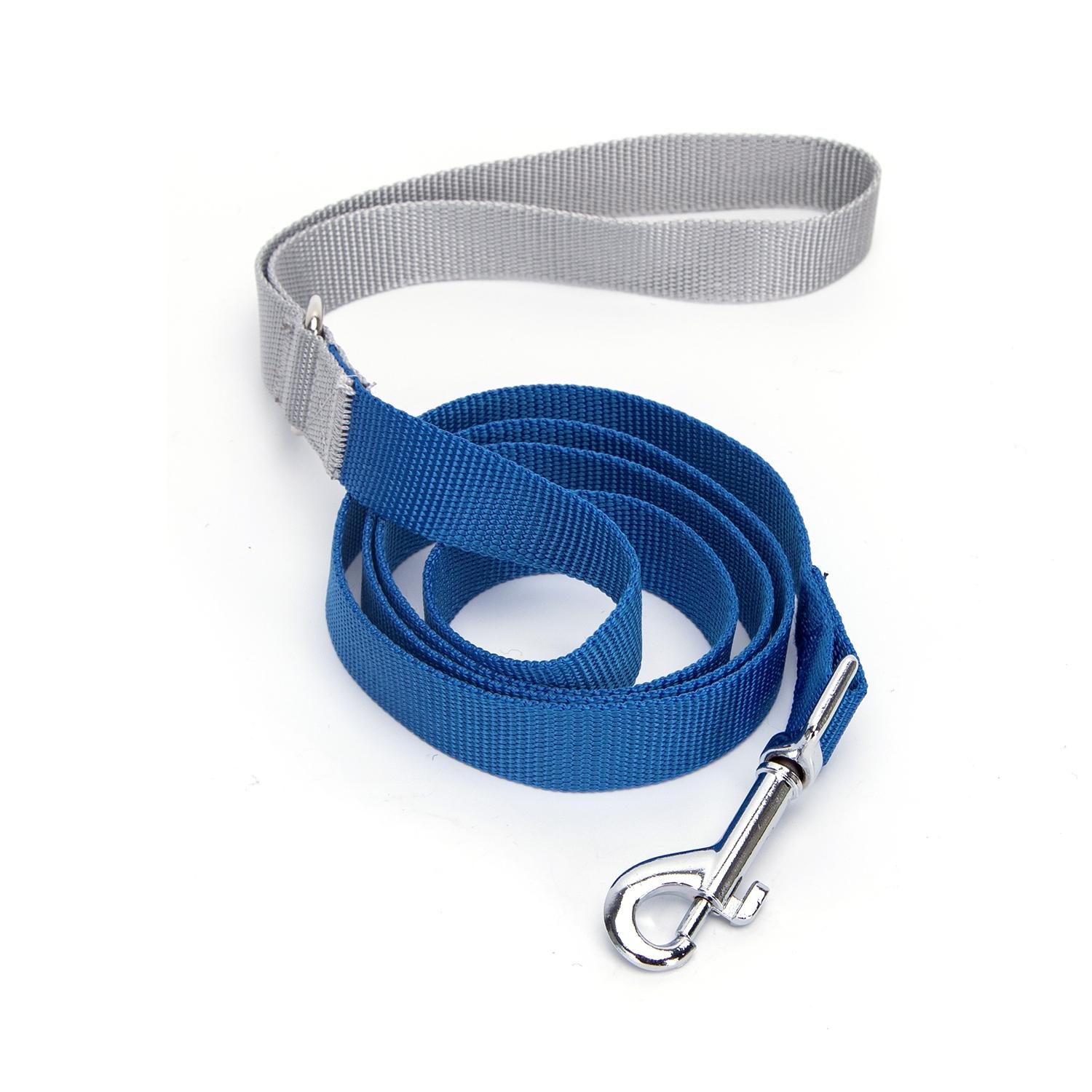 Webbing dog leash