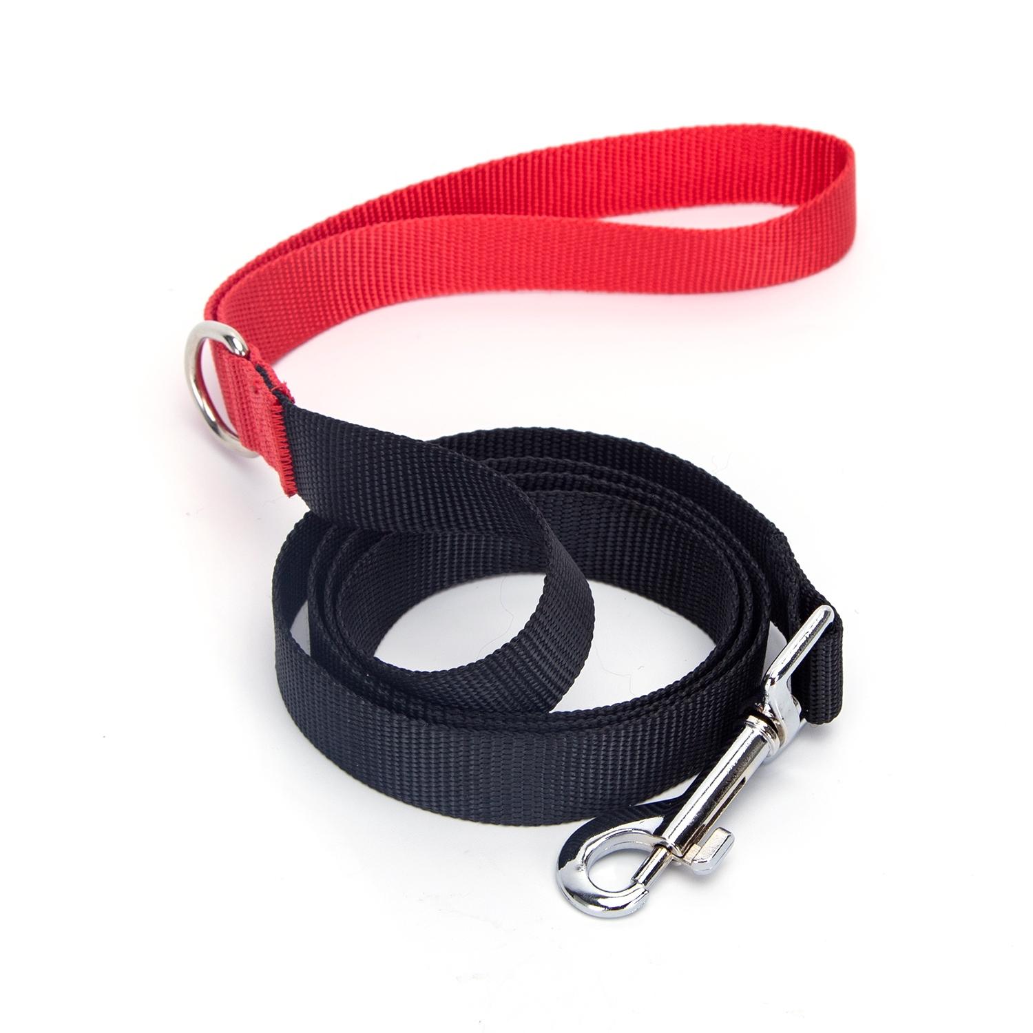 Webbing dog leash