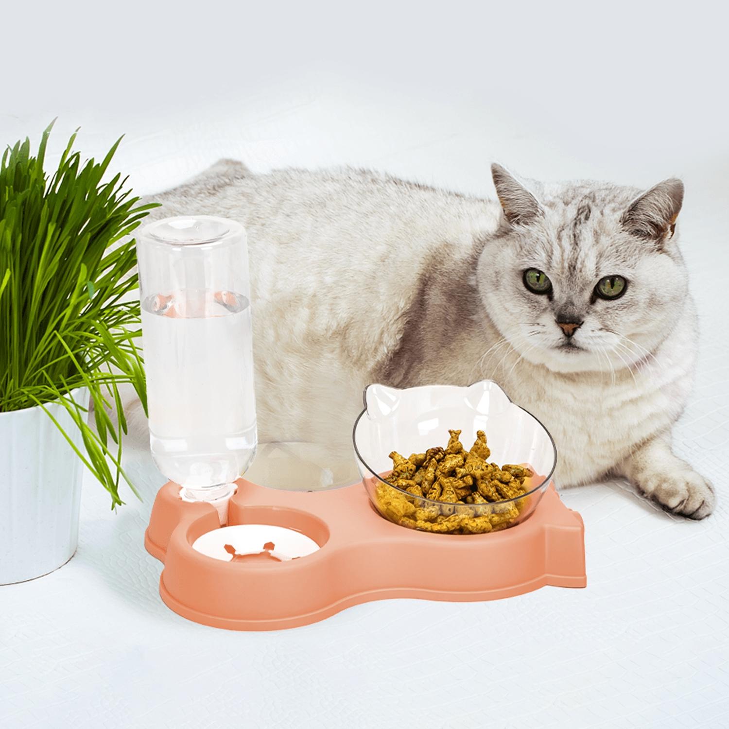 2-in-1 cat food and water bowl set