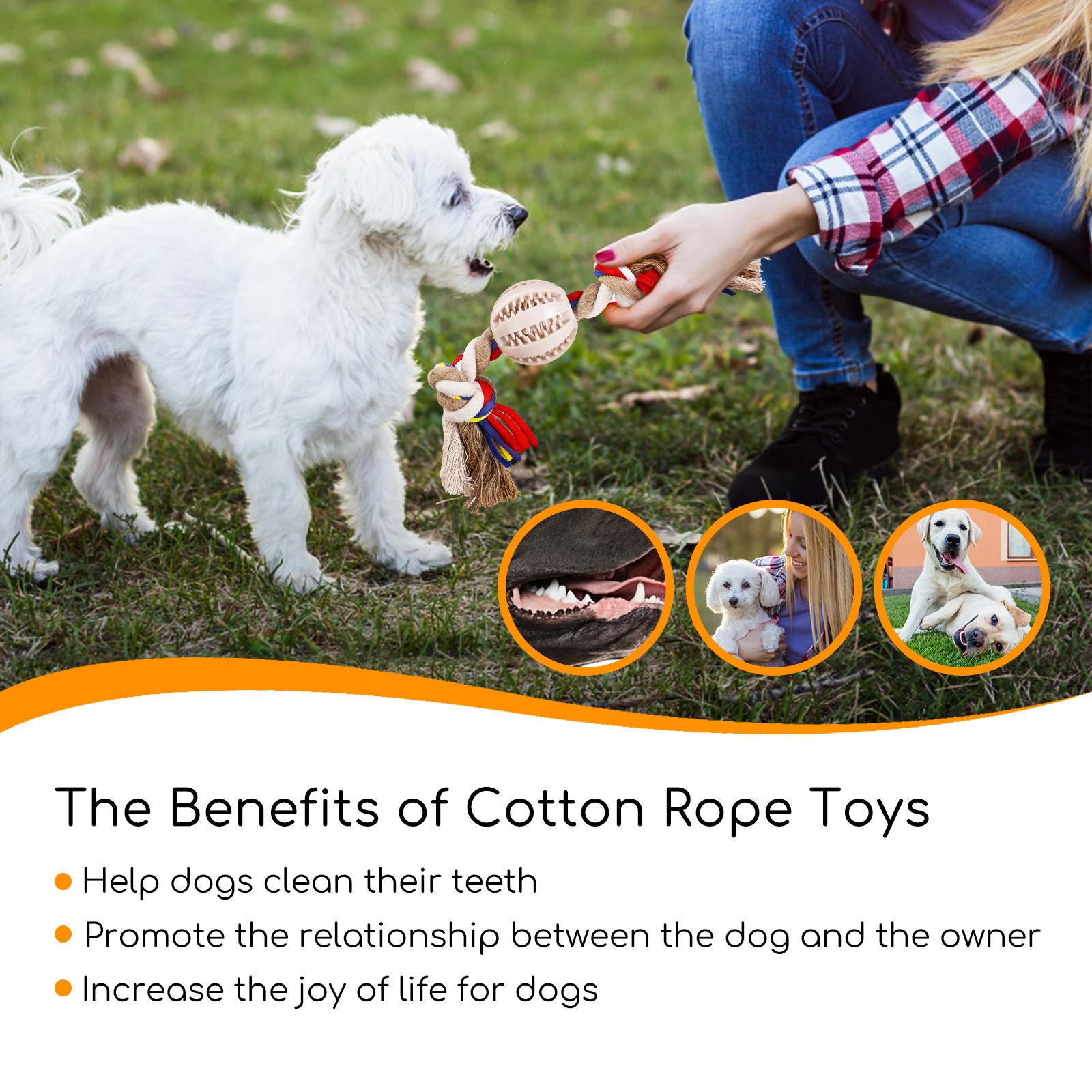 Cotton rope dog toy with TPR ball