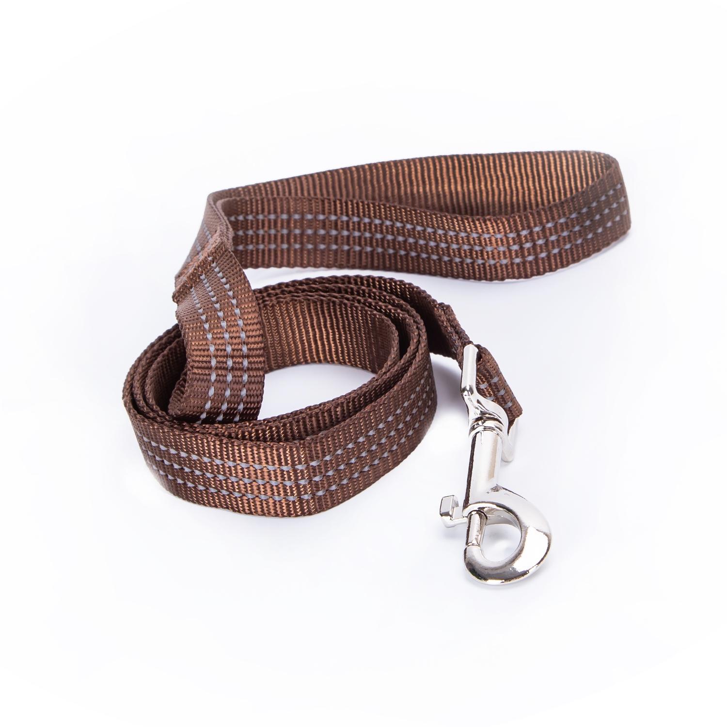 Imitation nylon reflective dog leash