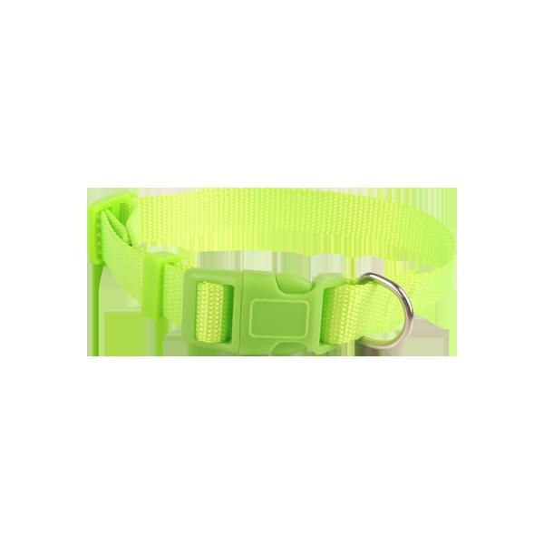 Fluorescent collars