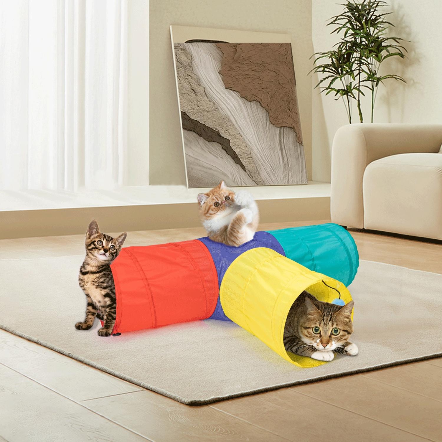 Colorful cat tunnel