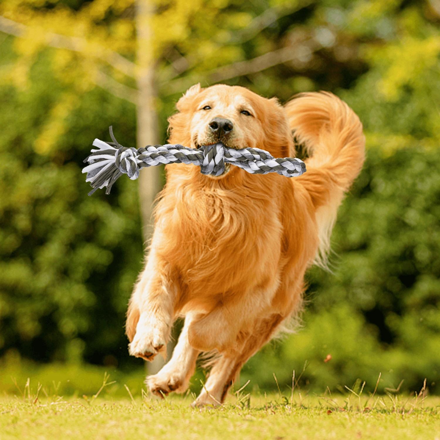 Cotton rope toy for dog