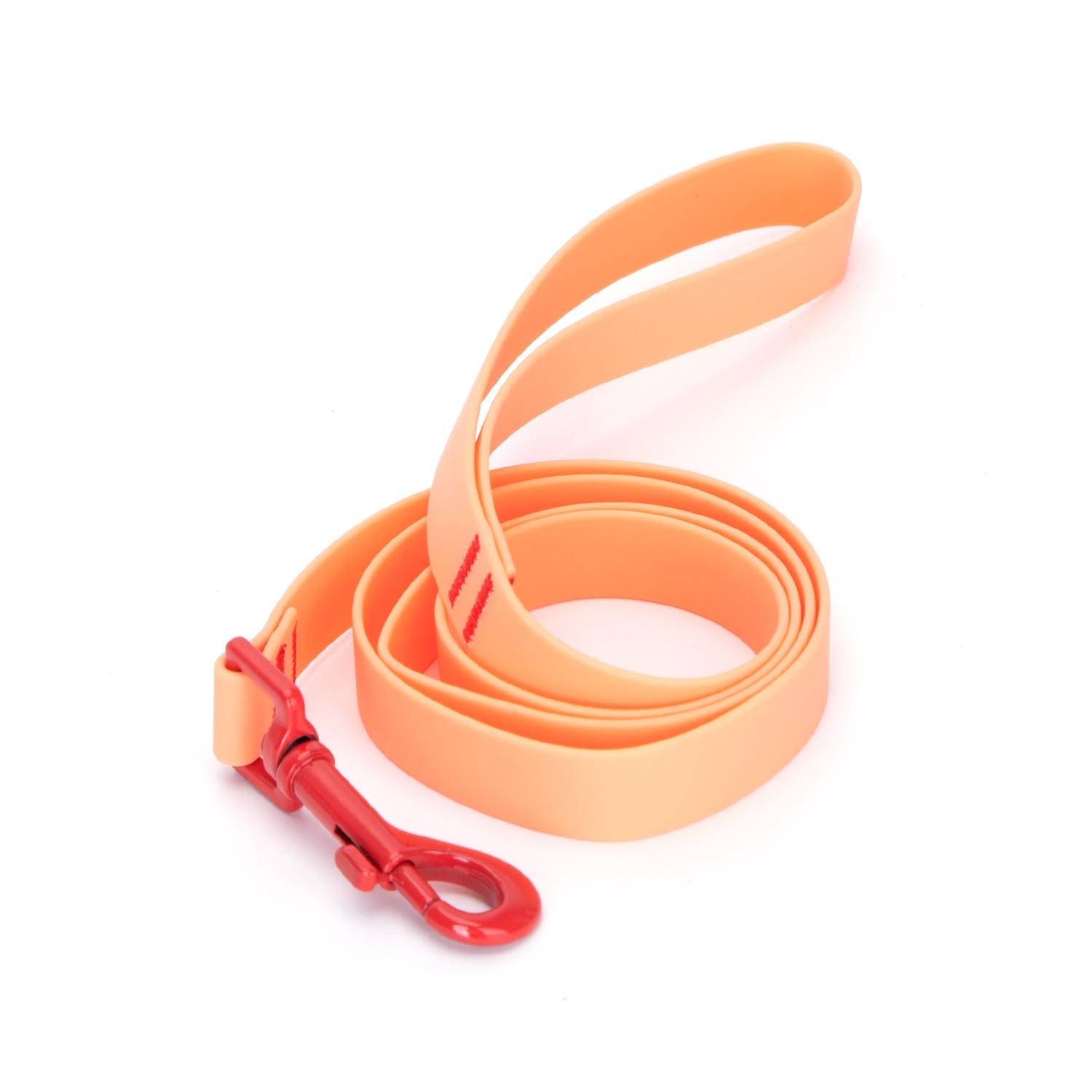 Colored  pvc leash